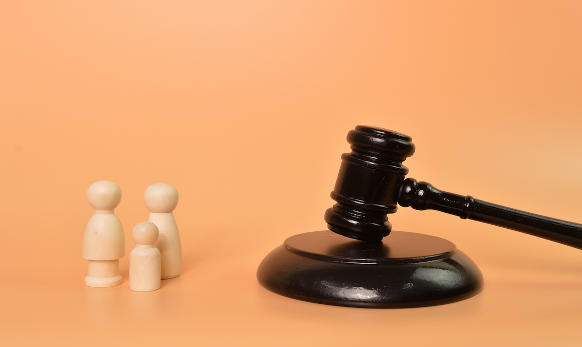 Industry Insights: Law and Politics SS-CG-295