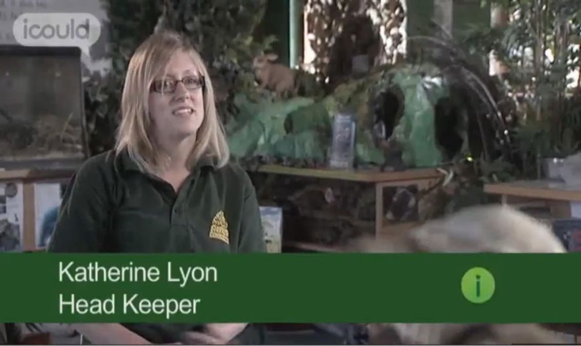 Career as a Head Zoo Keeper SS-CG-112
