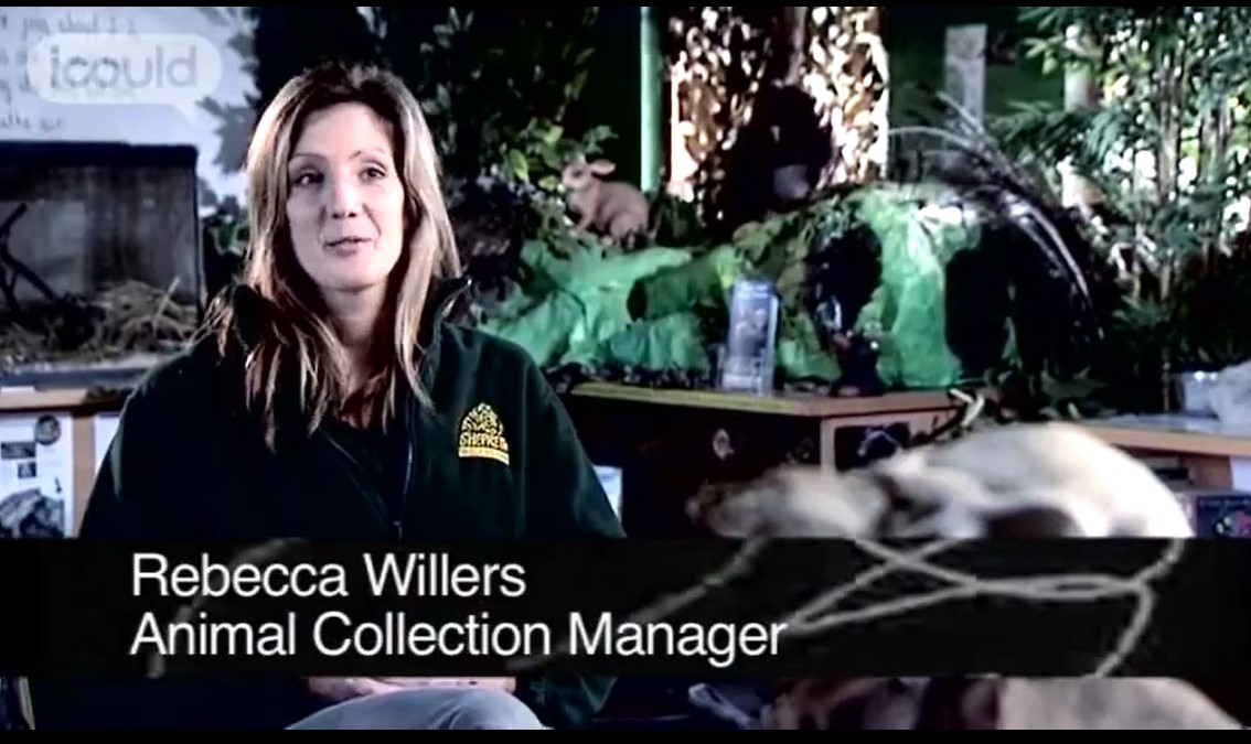 Career as an Animal Collection Keeper SS-CG-192